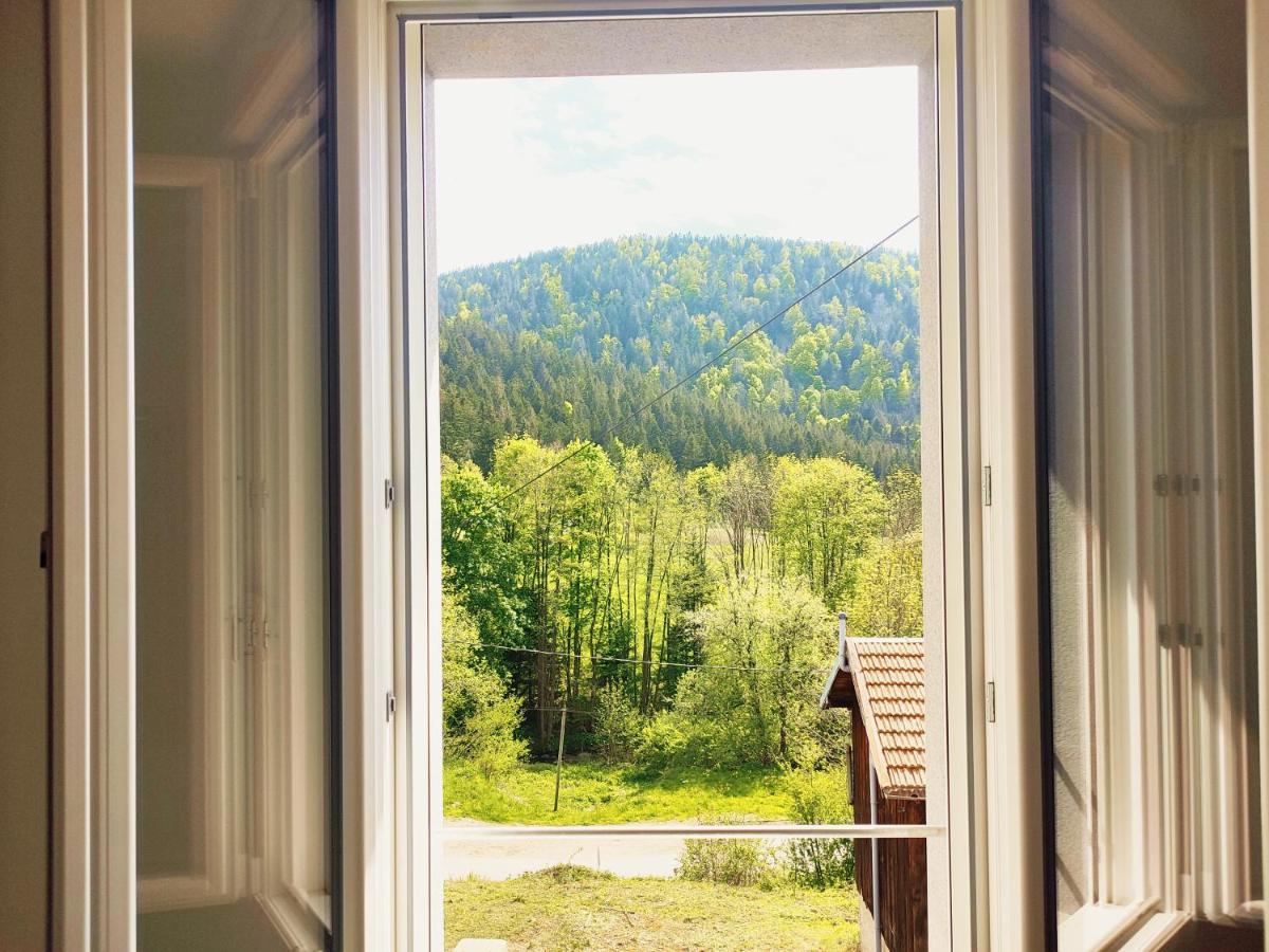 ⁂⁂ Le Chamois Appartement Cledicihome / Magnifique Vue Sur Les Montagnes / 4 Kms De Gerardmer ! ⁂⁂ Rochesson المظهر الخارجي الصورة